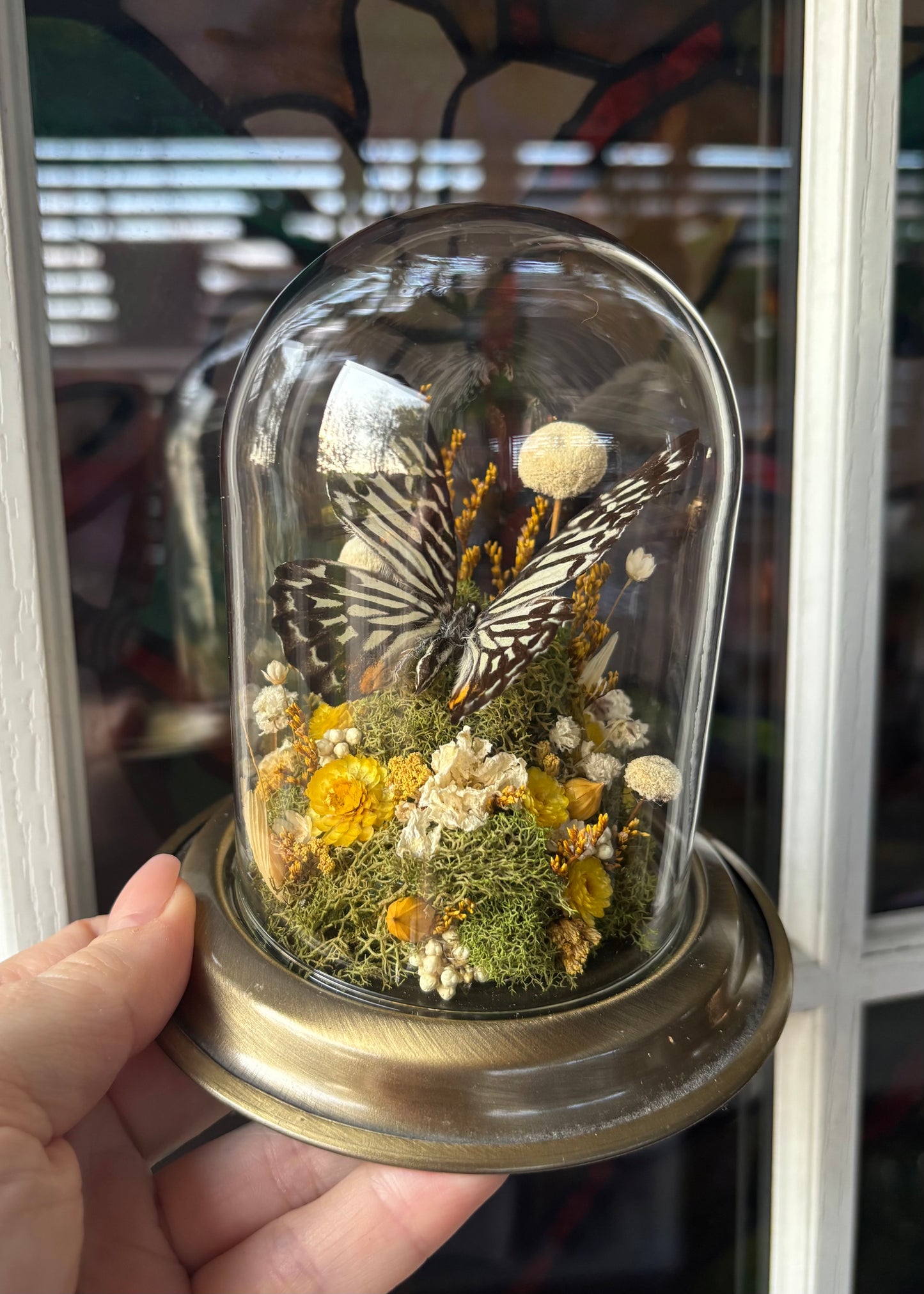 Zebra Butterfly Cloche