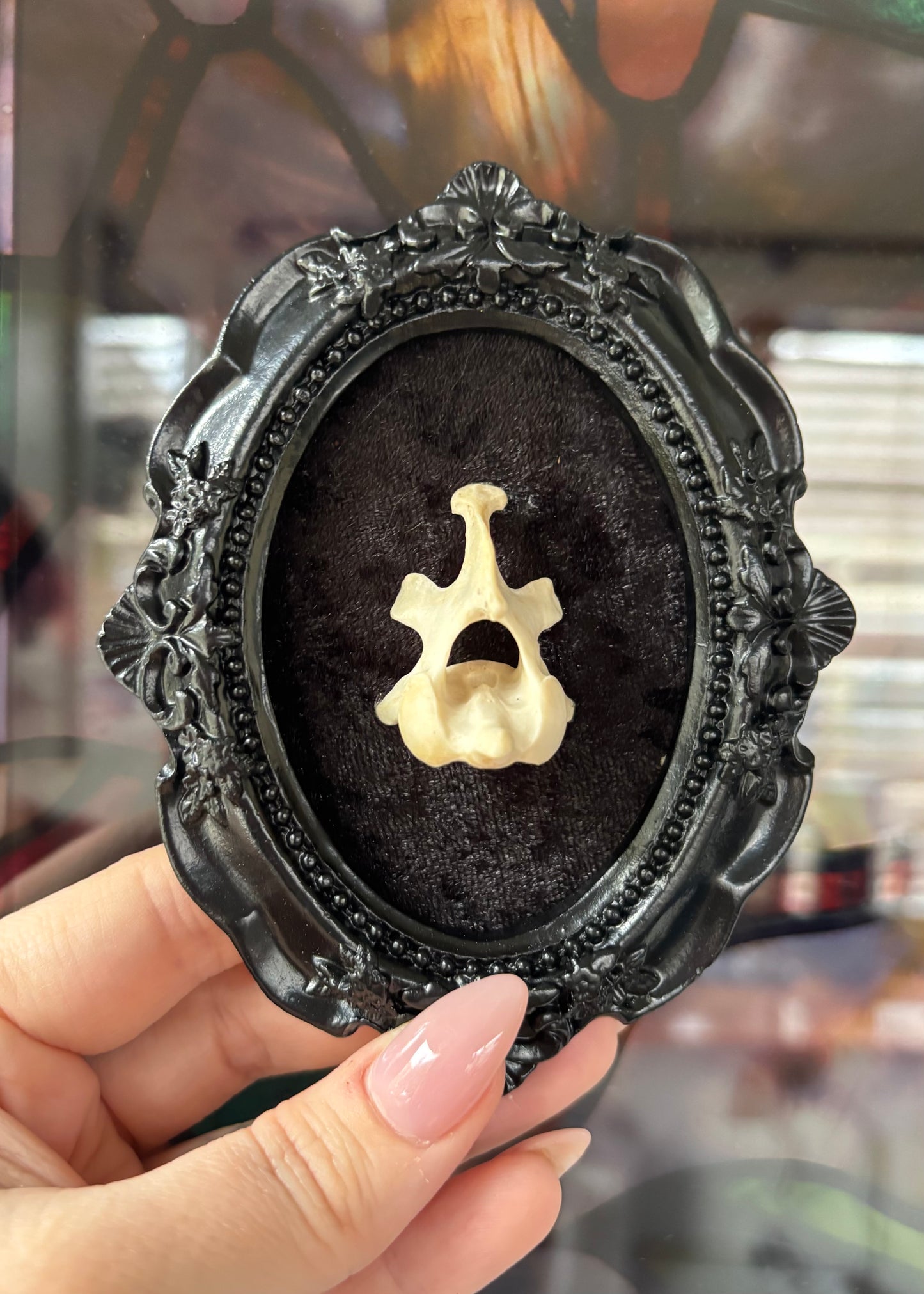 Black Mini Vertebrae Frame