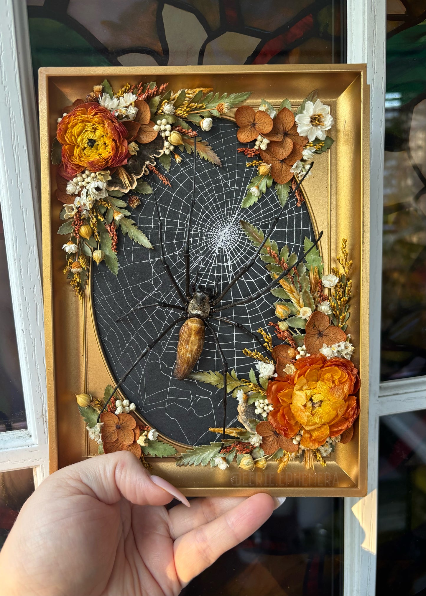 October Spider