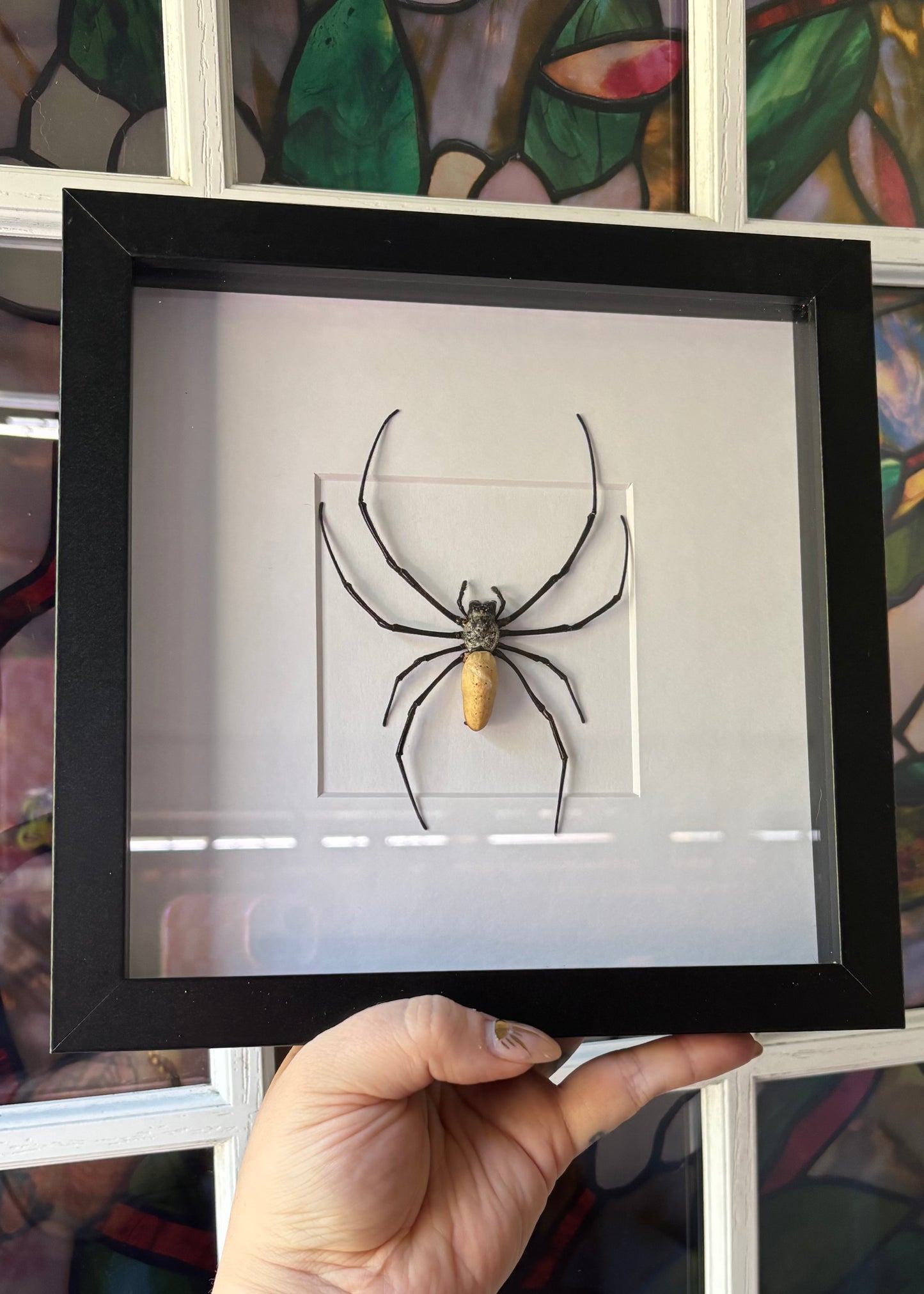 Giant Wood Spider