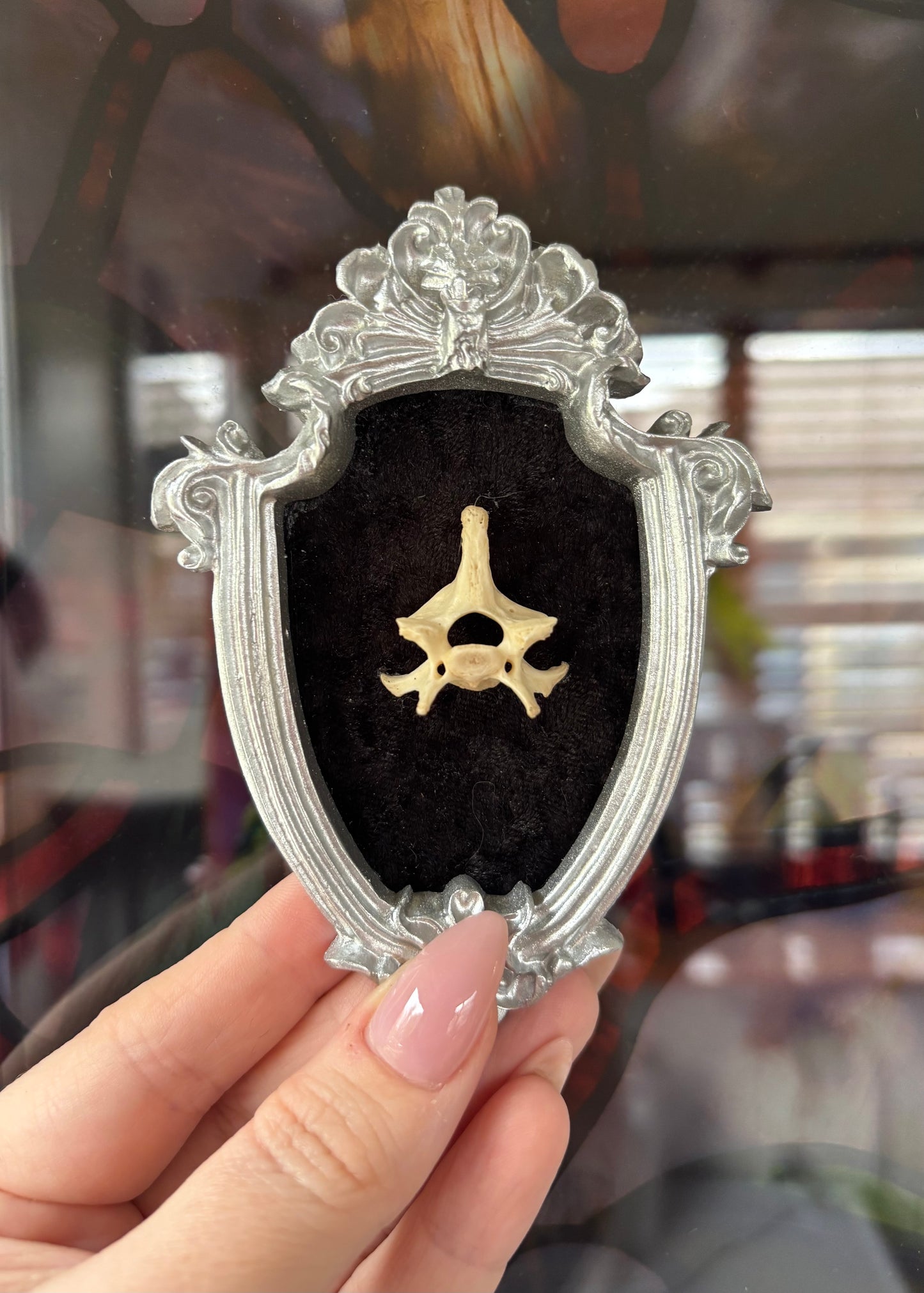 Silver Mini Vertebrae Frame