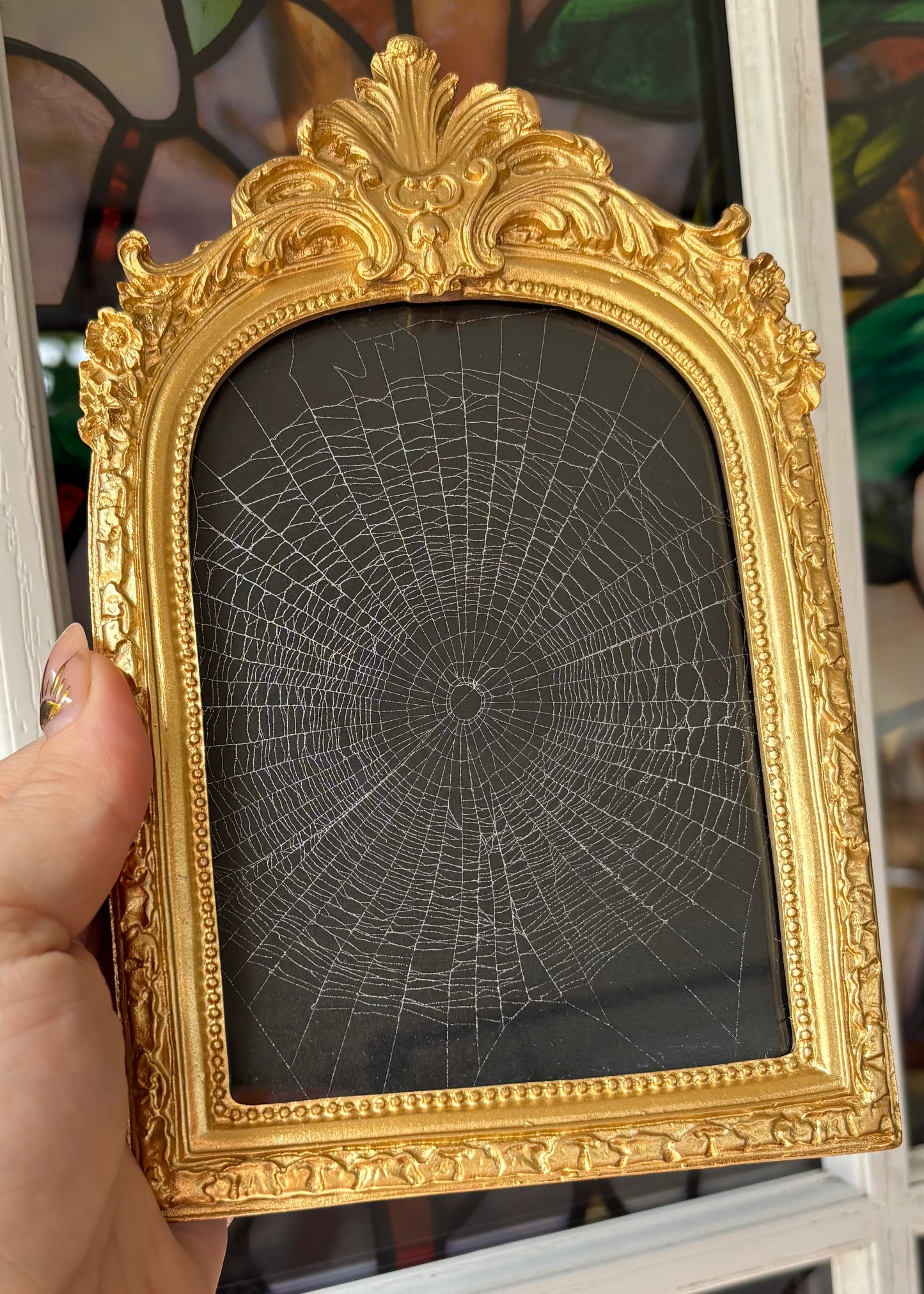 Preserved Spiderweb