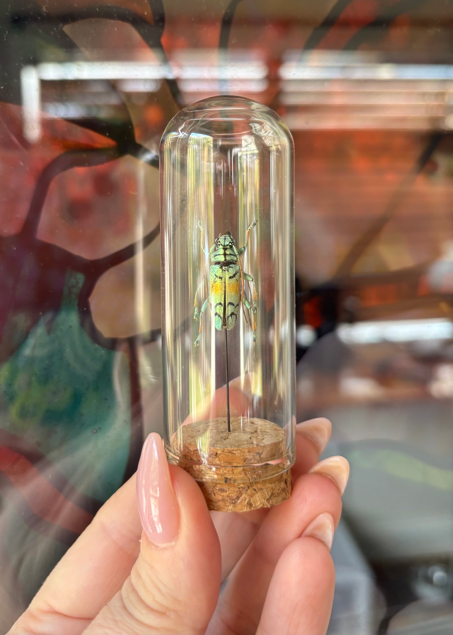 Teal Longhorn Beetle