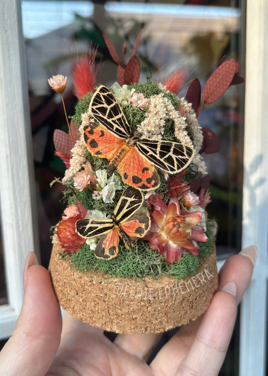 Tiger Moth Cloche