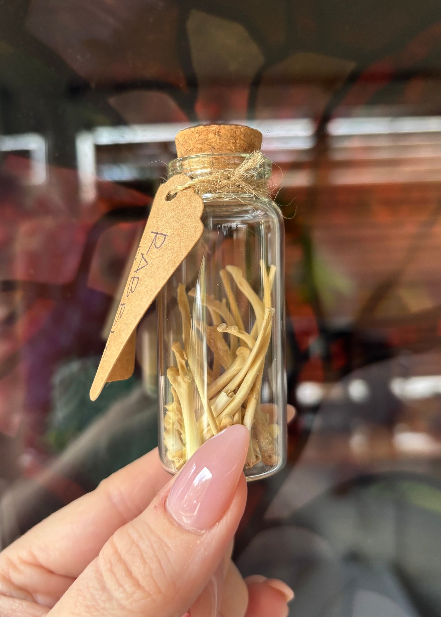 Rabbit Bone Vial