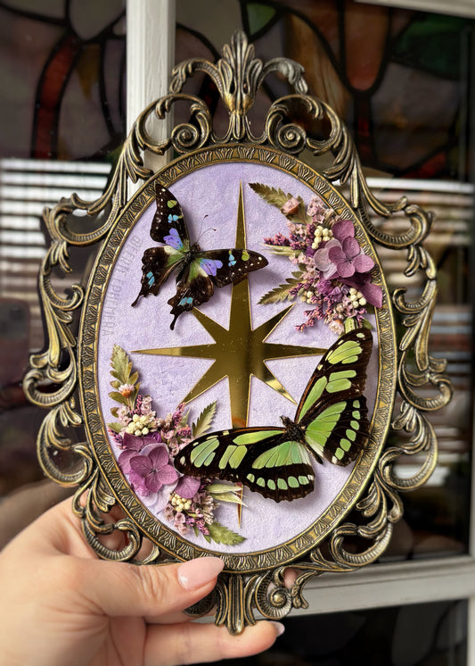 Purple Star Frame