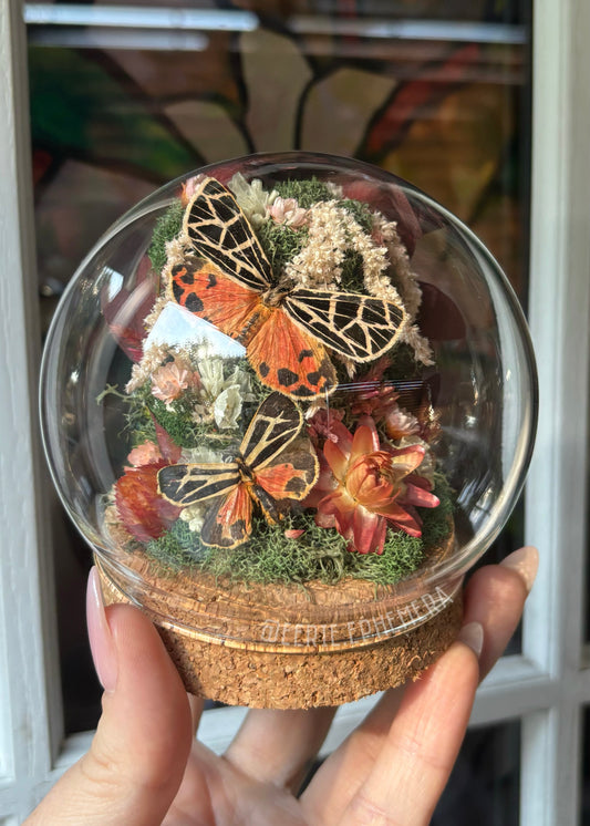 Tiger Moth Cloche