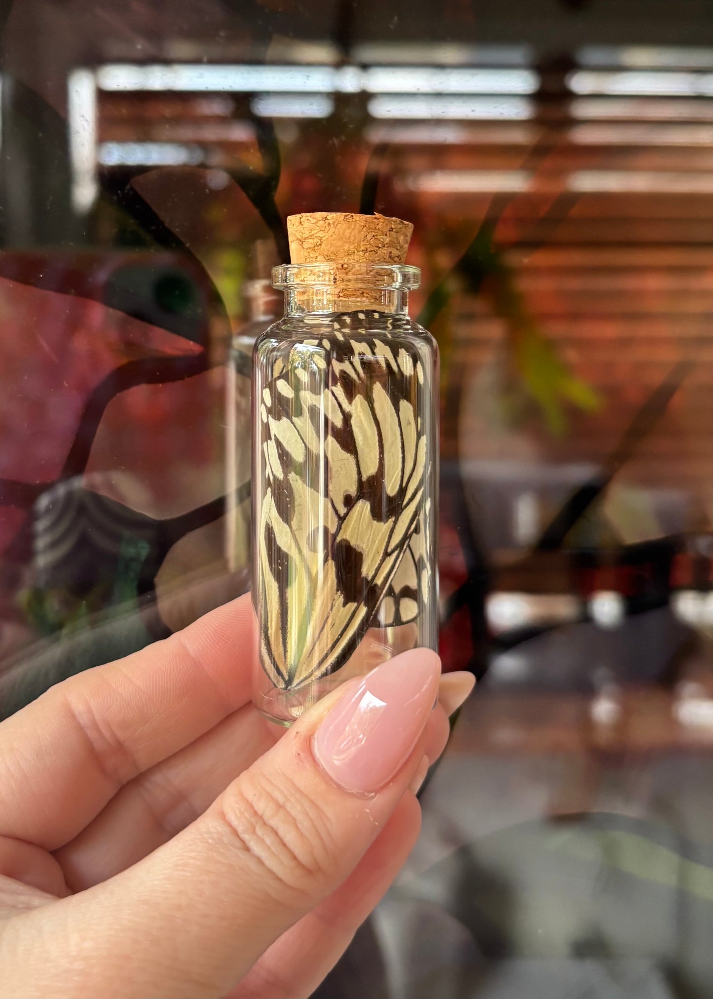 Rice Paper Butterfly Wing Vial