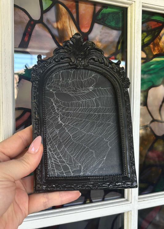 Black Baroque Spiderweb