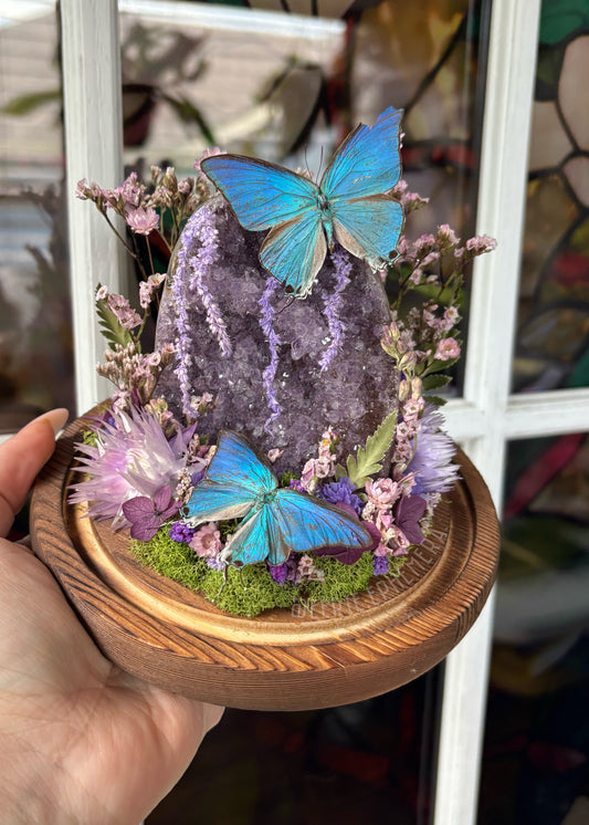 Blue Hairstreak Amethyst Cloche