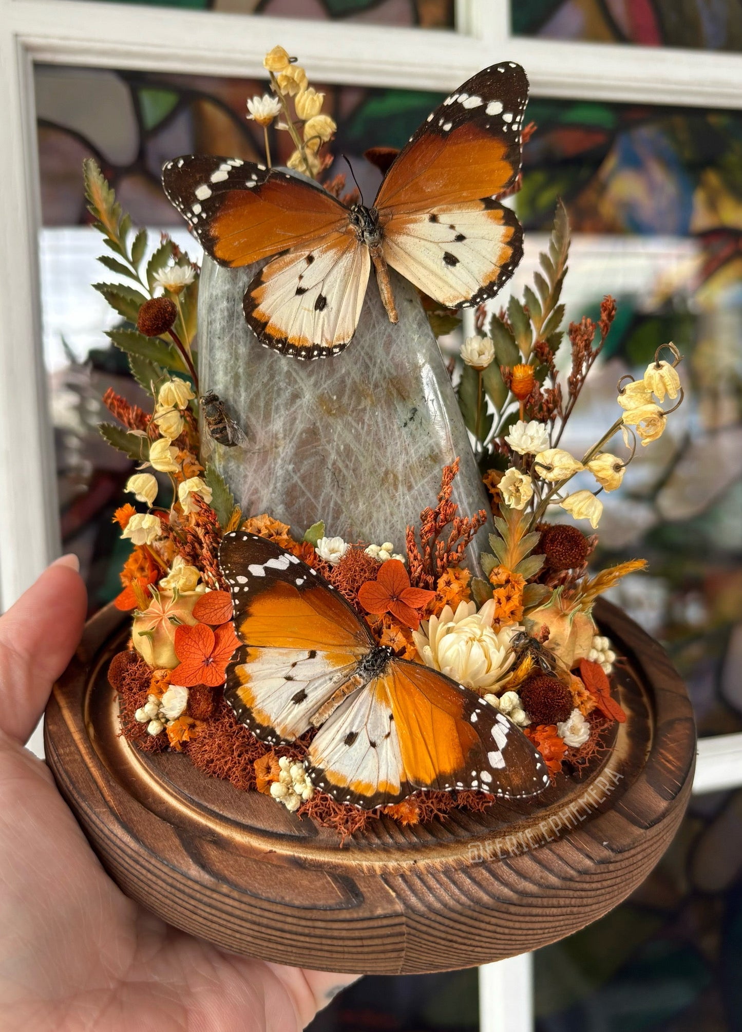 Labradorite African Monarchs