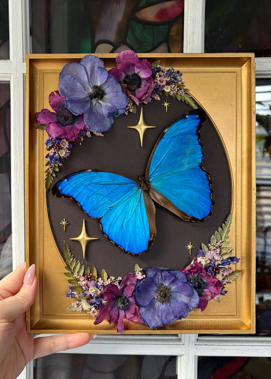 Blue & Purple Morpho