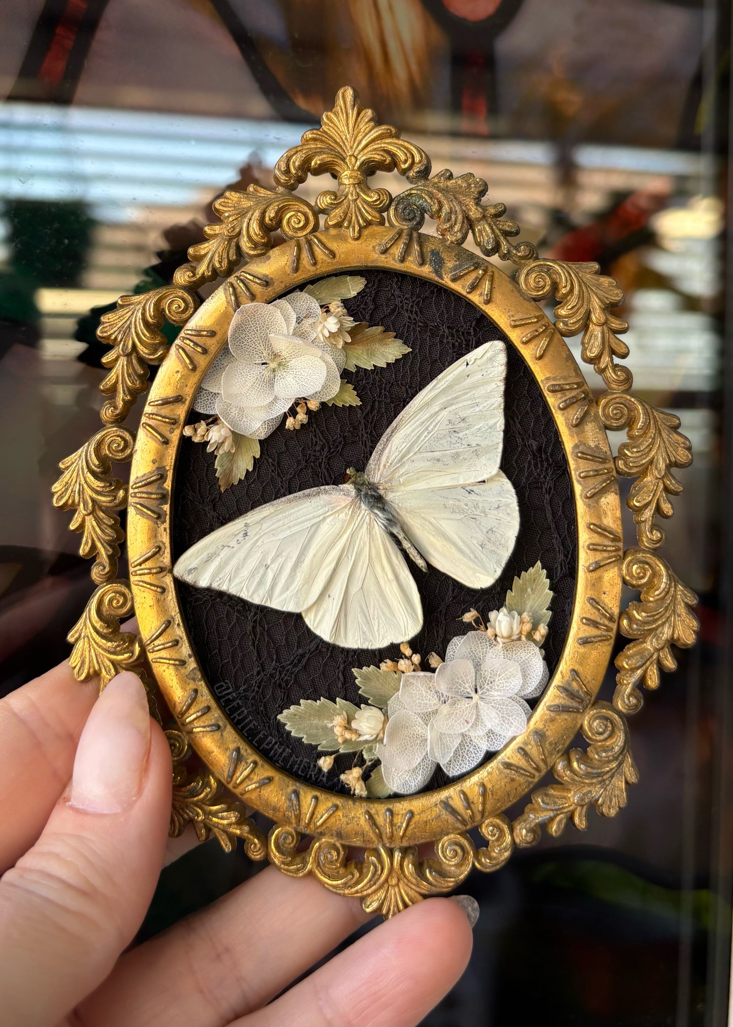 Mini White Albatross