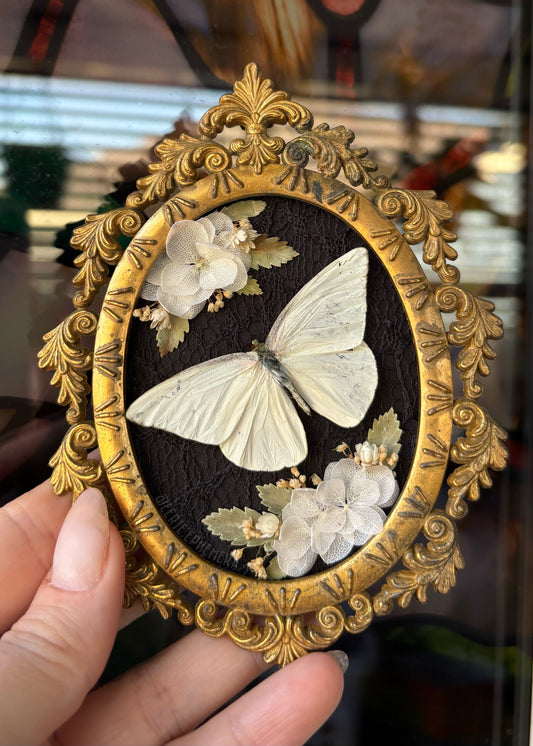 Mini White Albatross