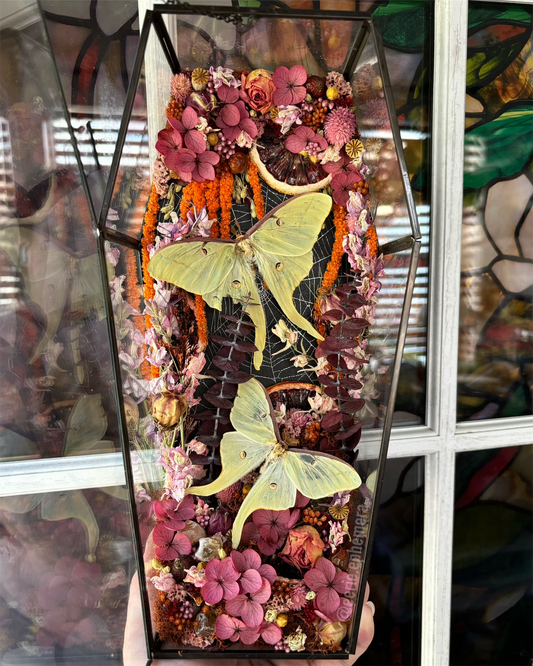 Luna Coffin
