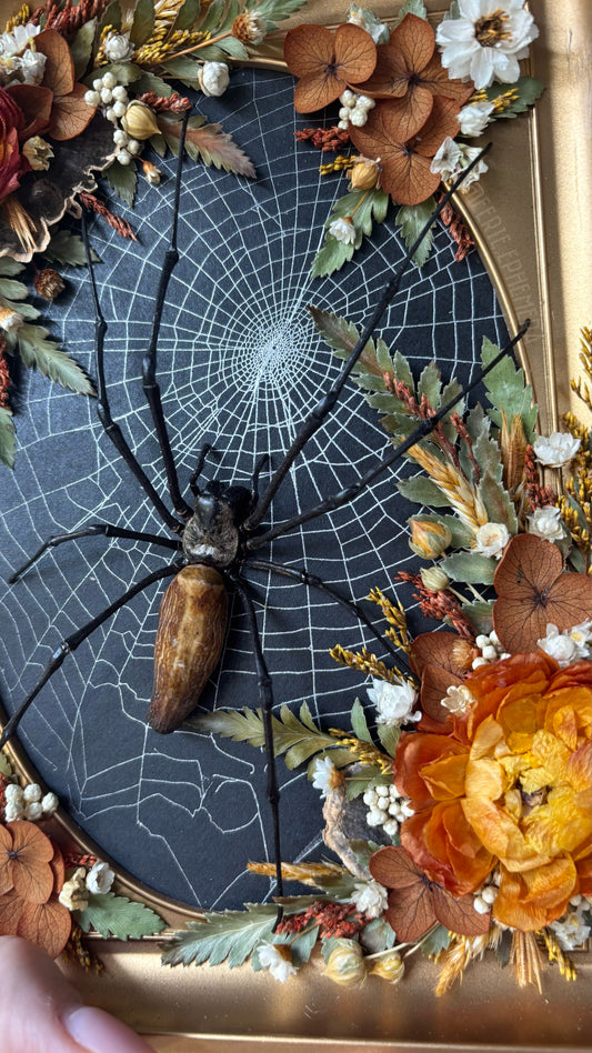 October Spider