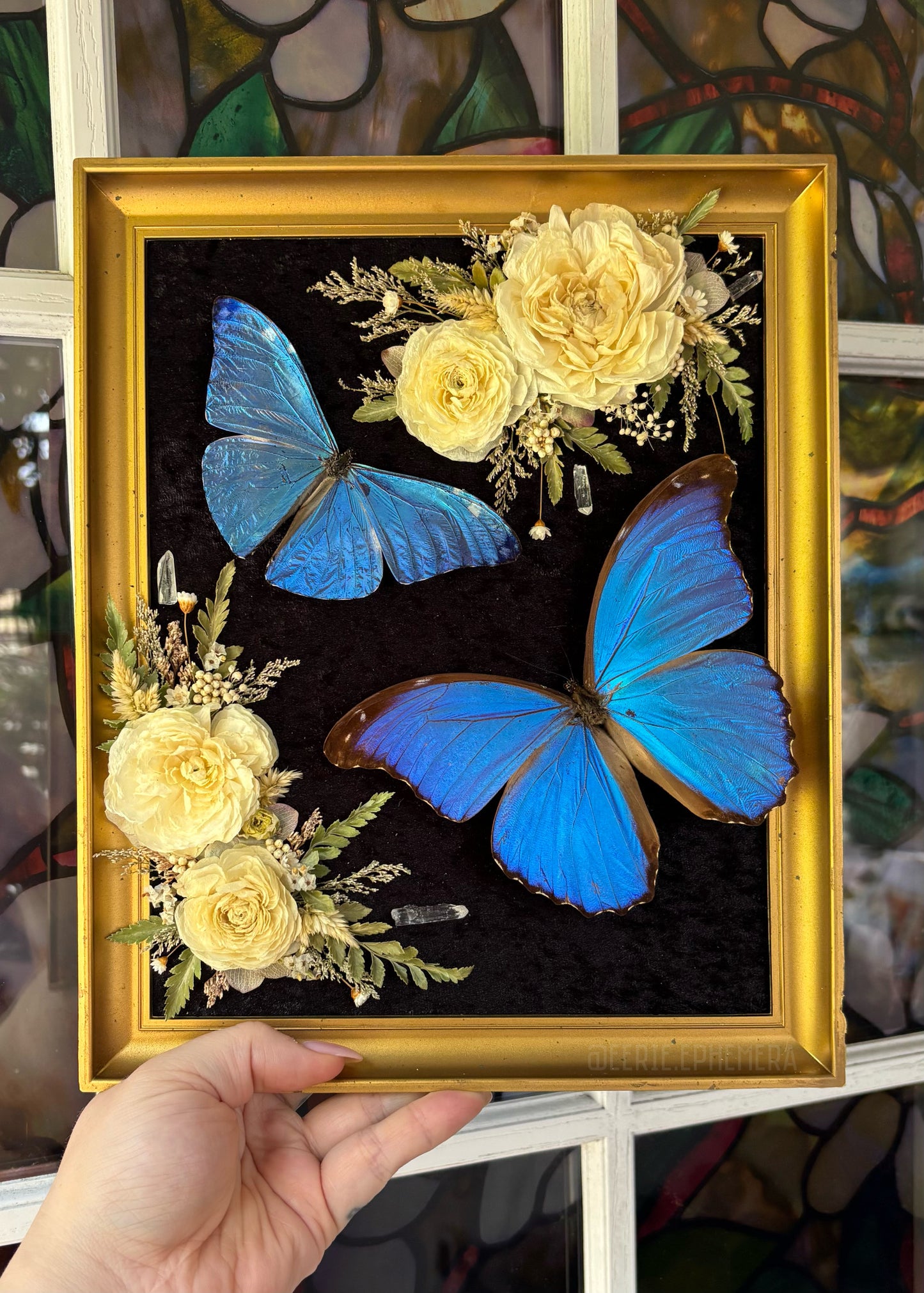 Blue is the Color of Peace