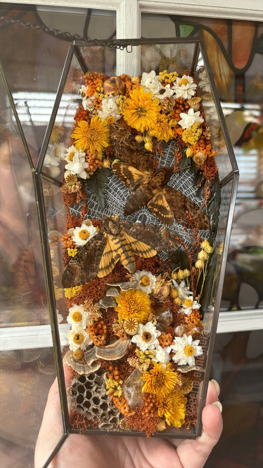 Deaths Head Coffin